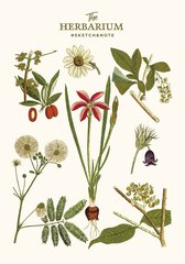 Блокнот для ескізів The Herbarium