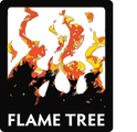 Flame Tree