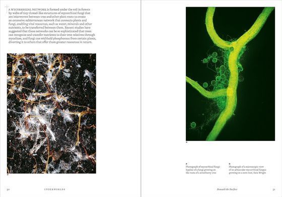 Underworlds: A Compelling Journey Through Subterranean Realms, Real and Imagined