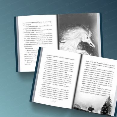 Чудодійні кондитери. Морозяний Ярмарок. Книга 1