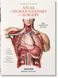Bourgery. Atlas of Human Anatomy and Surgery