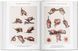 Bourgery. Atlas of Human Anatomy and Surgery