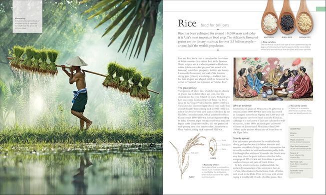 The Food Book: The Stories, Science, and History of What We Eat