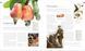 The Food Book: The Stories, Science, and History of What We Eat