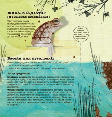 Architects in the Animal World