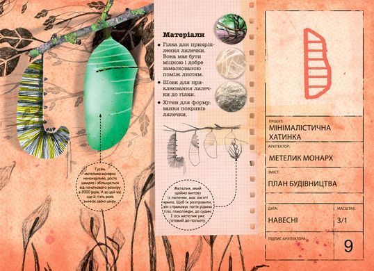 Architects in the Animal World
