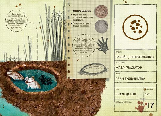 Architects in the Animal World