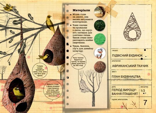 Architects in the Animal World