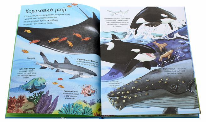 Big Book of Sea Creatures