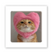 3D-стікер "Love Kitty"