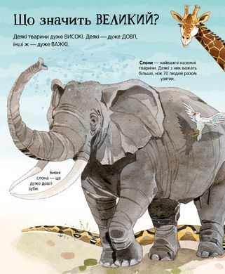 Big Book Animals