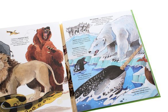 Big Book Animals