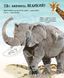 Big Book Animals