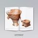 "Antiquarian" magazine No. 144 (2025). Ukraine. World of Trypillia