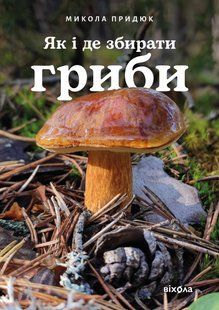 How and where to pick mushrooms