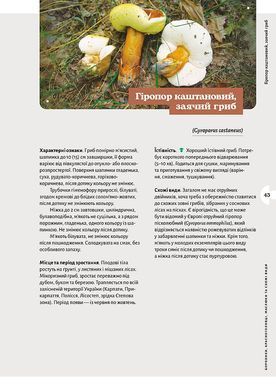 Як і де збирати гриби