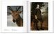 Diego Velazquez: 1599-1660: the Face of Spain