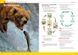 Підручник англійської мови Life 3rd Edition Elementary SB with the Spark platform