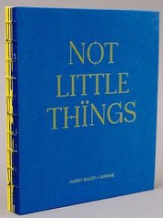 Not Little Things. A Poem-Chronicle of the Ukrainian Resistance