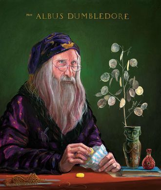 Harry Potter 1 Philosopher's Stone Illustrated Edition