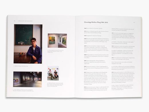 Matthew Wong - Vincent van Gogh: Painting as a Last Resort