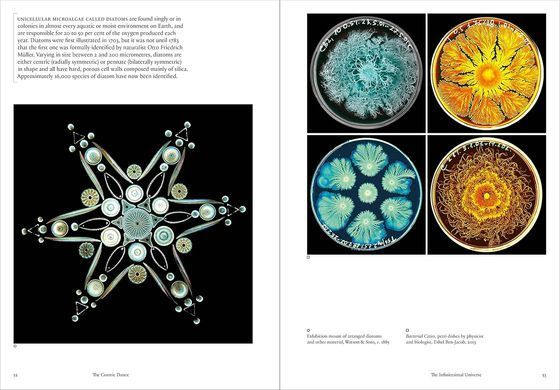 The Cosmic Dance: Finding Patterns and Pathways in a Chaotic Universe
