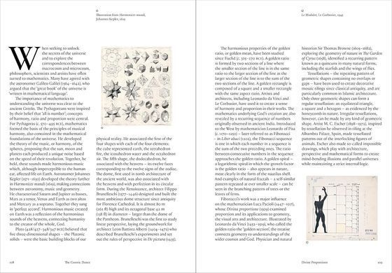 The Cosmic Dance: Finding Patterns and Pathways in a Chaotic Universe