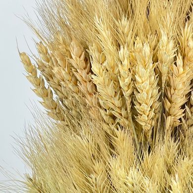 Дідух Різдвяний середній (40 см)